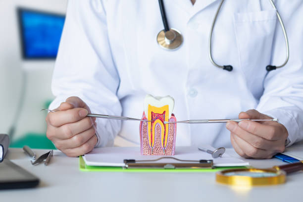 Best Emergency Root Canal Treatment in Lagrange, IN